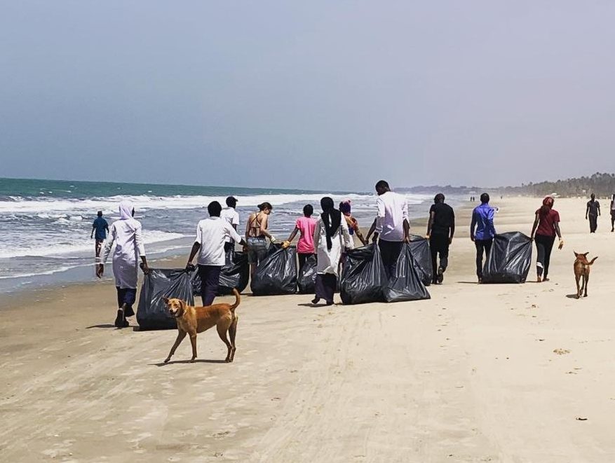 collection-beach-clean