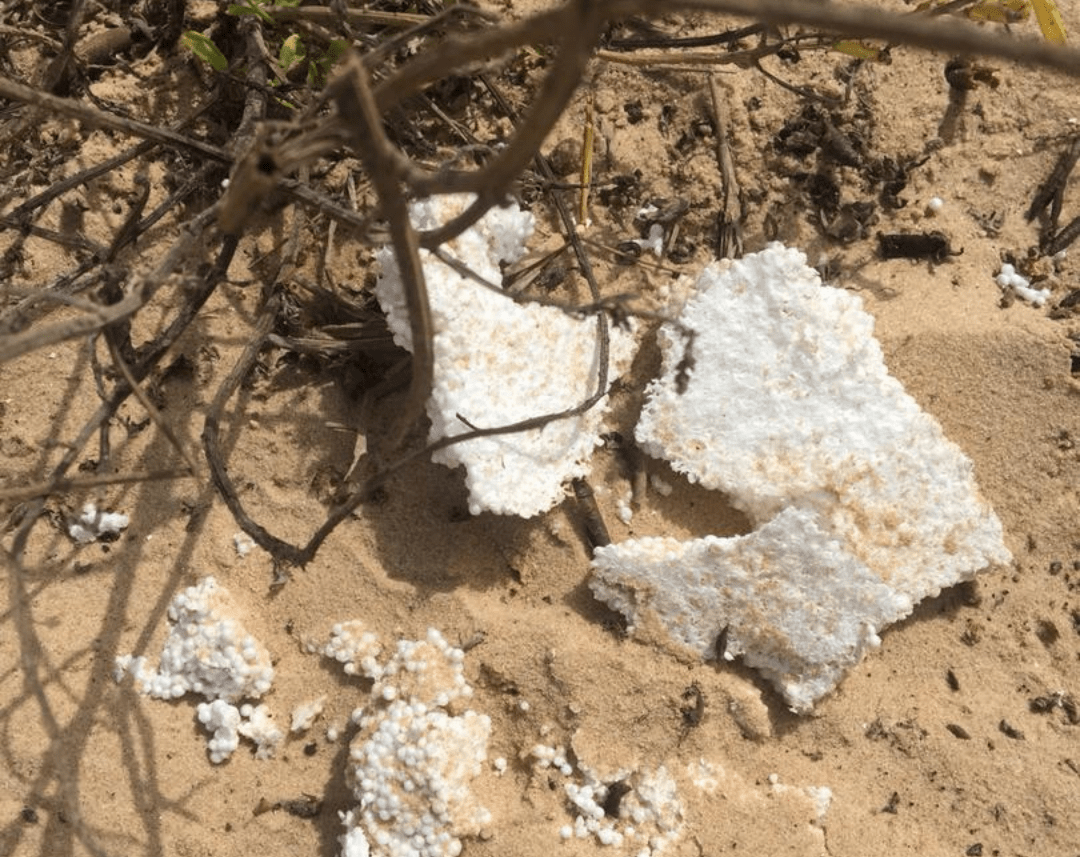 Polystyrene Plastic Pollution