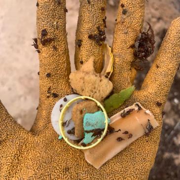 Microplastic-in-glove