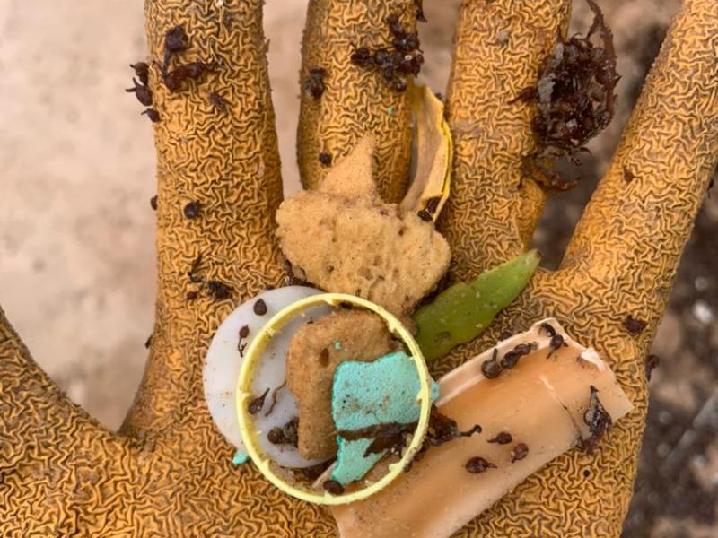 Facts you need to&nbsp;know